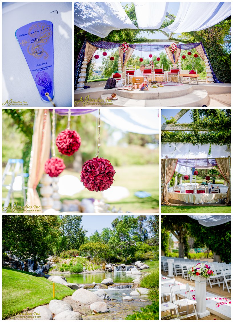 Bijal & Ian wedding